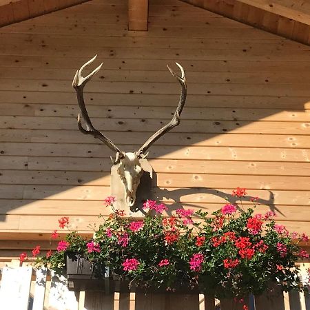 Alpenlodge Kirchbach Kirchbach  外观 照片
