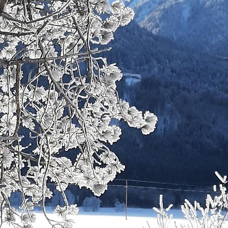 Alpenlodge Kirchbach Kirchbach  外观 照片