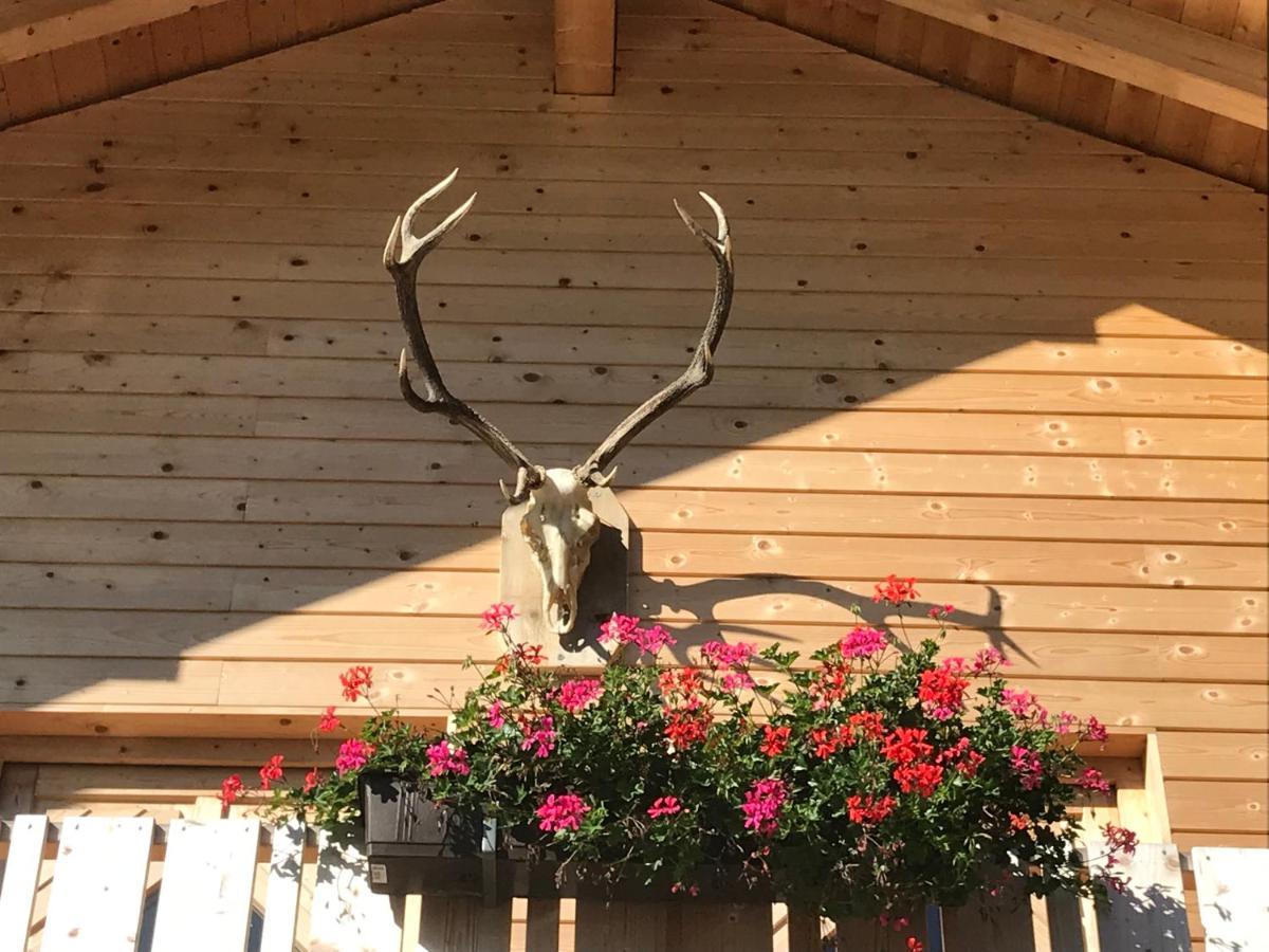 Alpenlodge Kirchbach Kirchbach  外观 照片