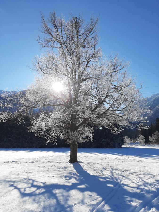 Alpenlodge Kirchbach Kirchbach  外观 照片