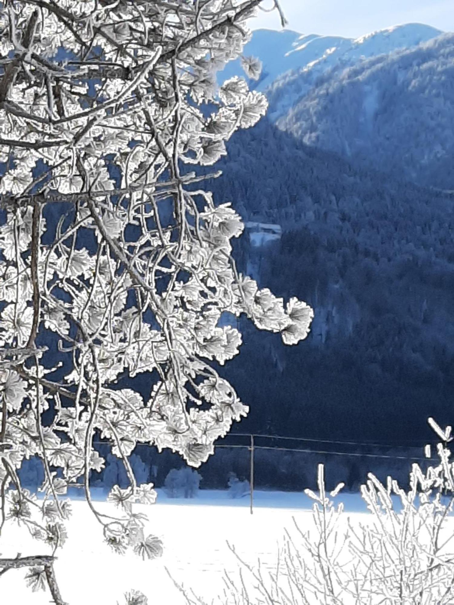 Alpenlodge Kirchbach Kirchbach  外观 照片