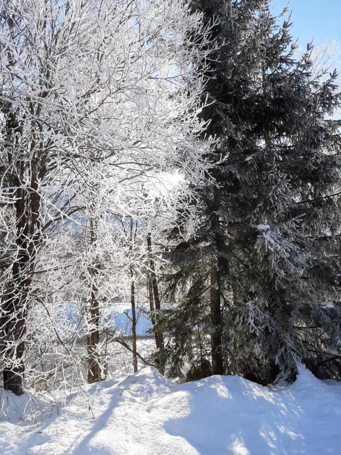 Alpenlodge Kirchbach Kirchbach  外观 照片